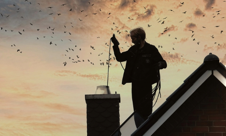 Protecting Your St. Louis Chimney From Heatwaves to Frost